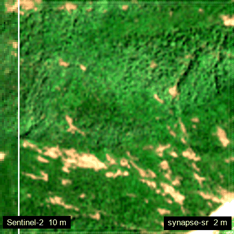 Wayanad